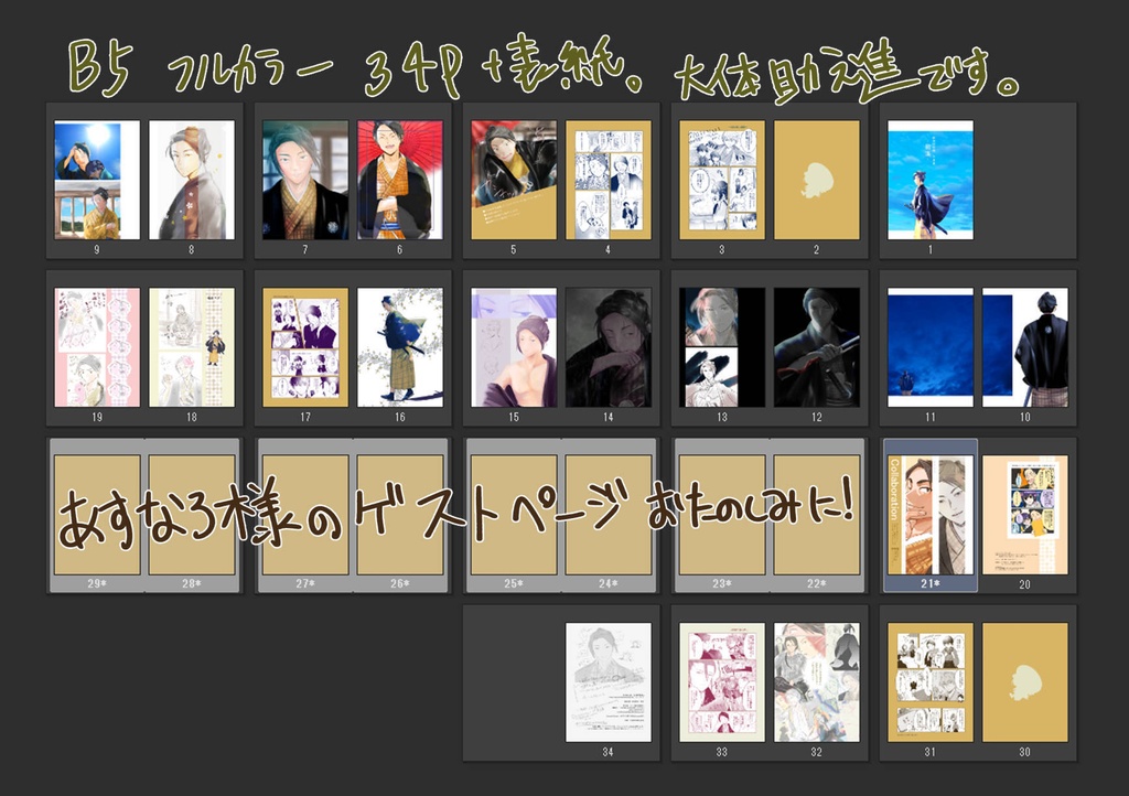 Fate/SR 助之進写真集「前進」※イラスト集