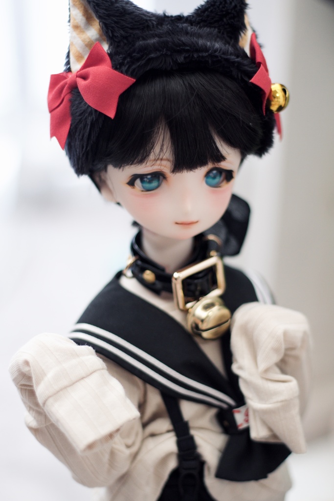 UnknownWorld// DDH-06カスタムヘッド パテ盛り/アイ付き SW肌 ドルフィードリーム