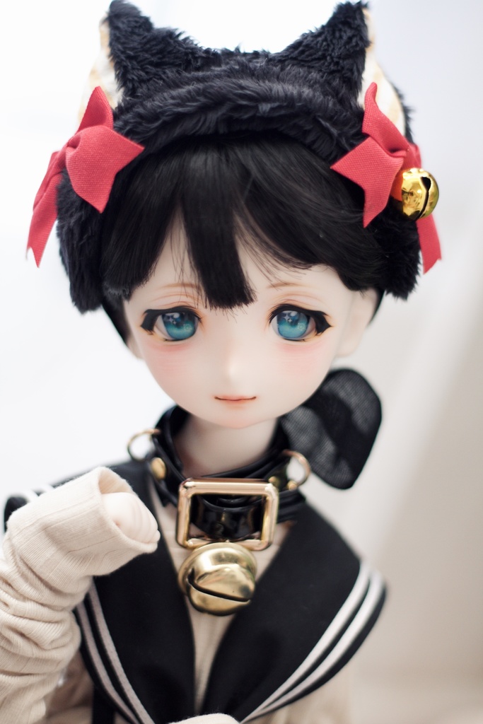 UnknownWorld// DDH-06カスタムヘッド パテ盛り/アイ付き SW肌 ドルフィードリーム