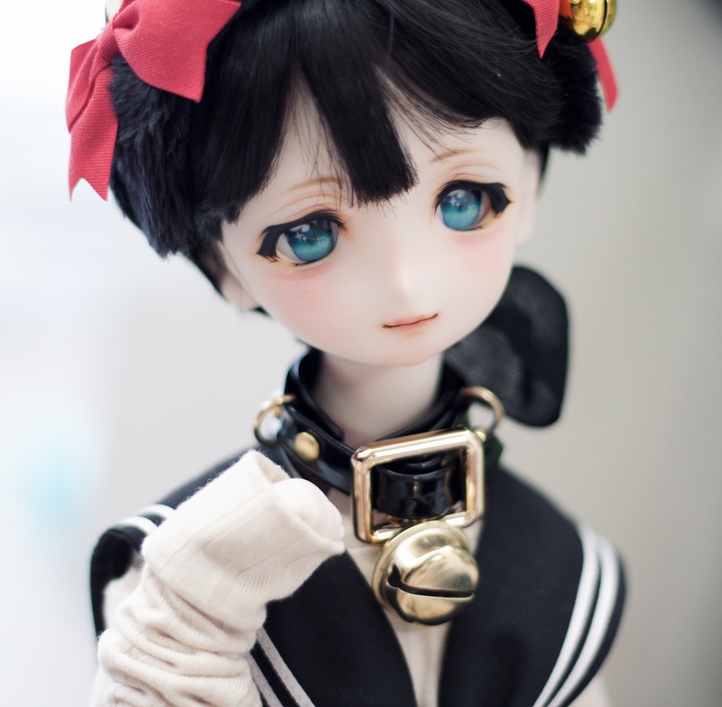 UnknownWorld// DDH-06カスタムヘッド パテ盛り/アイ付き SW肌 ドルフィードリーム