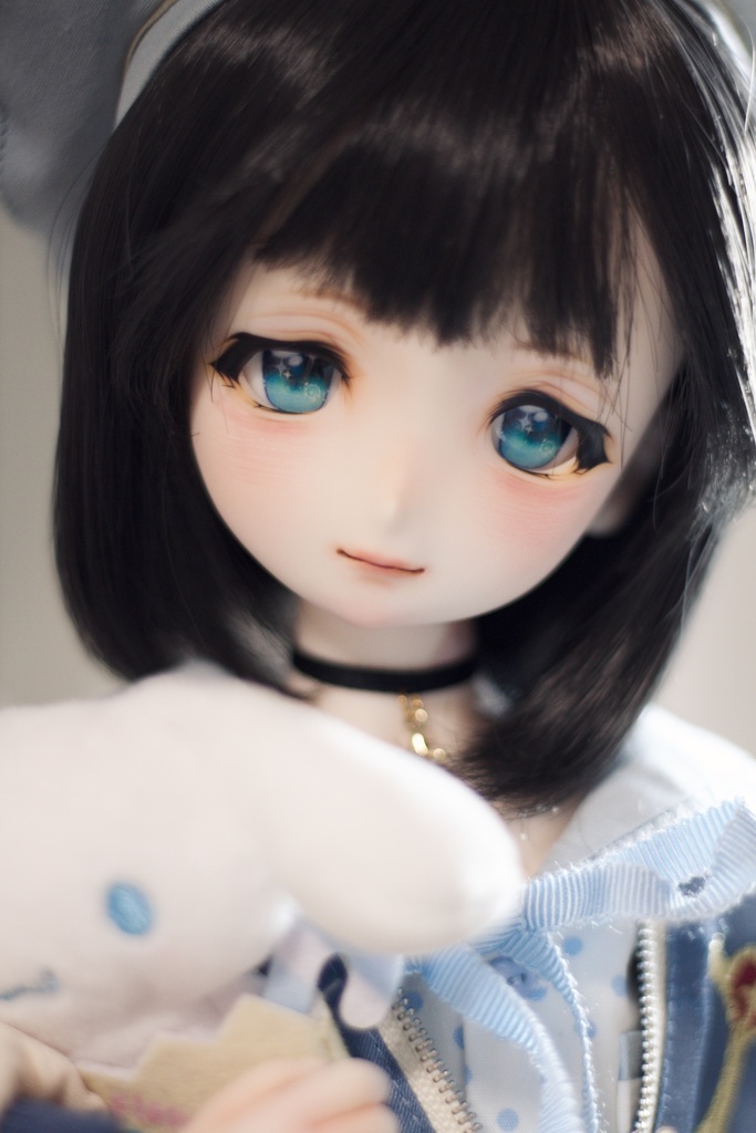 UnknownWorld// DDH-06カスタムヘッド パテ盛り/アイ付き SW肌 ドルフィードリーム