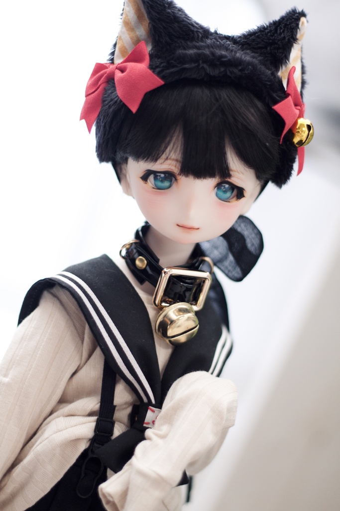 UnknownWorld// DDH-06カスタムヘッド パテ盛り/アイ付き SW肌 ドルフィードリーム