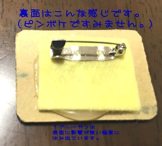 古生物ブローチ