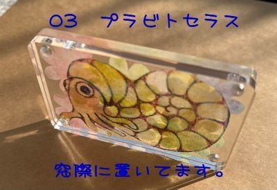 柔らかい光を通すミニ原画(カラー)