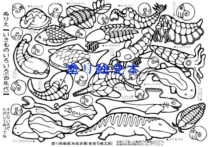 A4クリアファイル