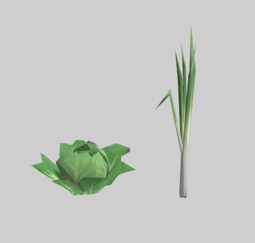 畑(キャベツ、ネギ、トマト)