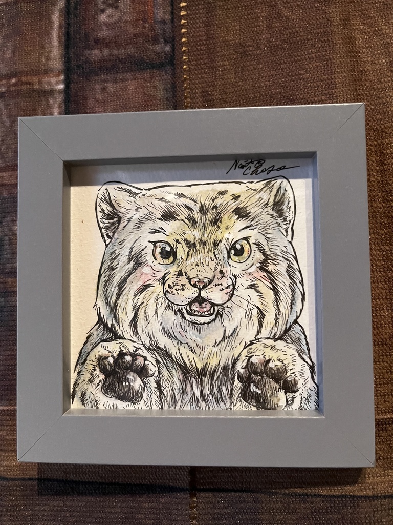 ミニ原画　マヌルネコ