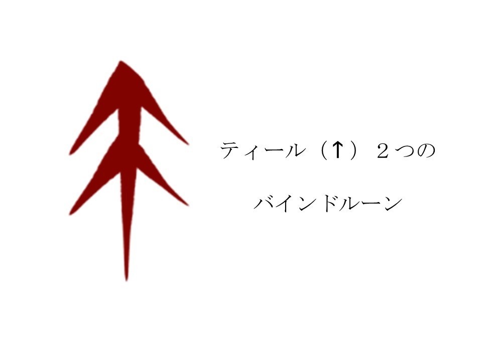 シグルドリーヴァの歌 ルーン詩Tシャツ黒