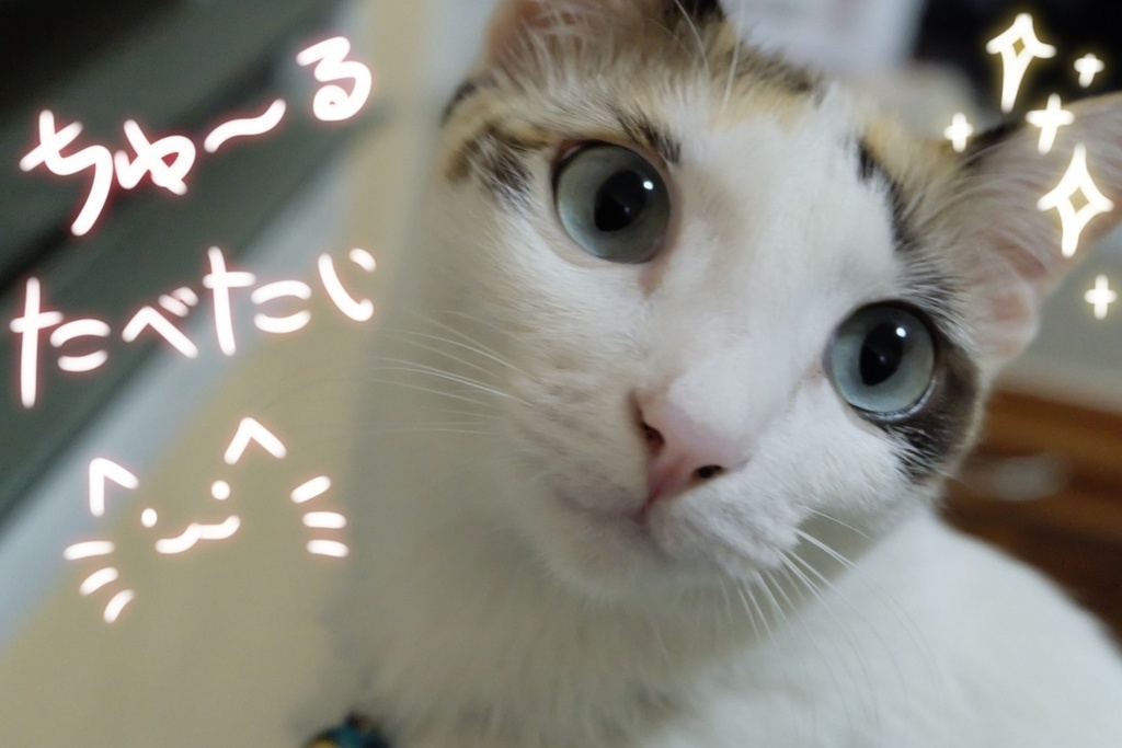 「マヌカ用」♡ポーズアニメーション16種類♡