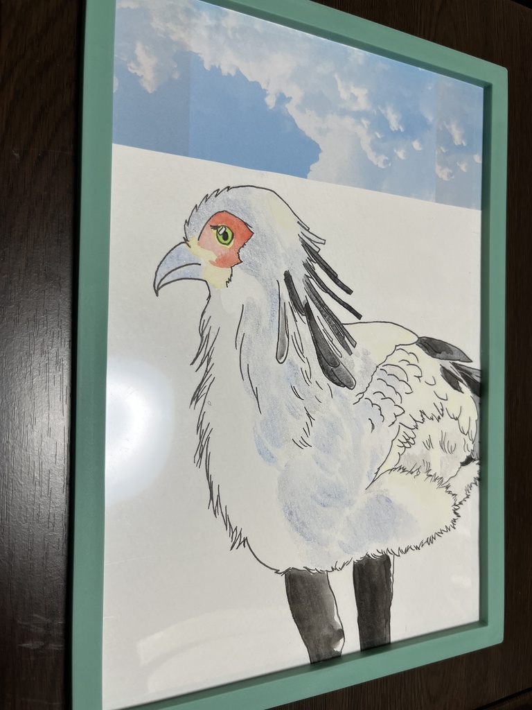 ヘビクイワシ