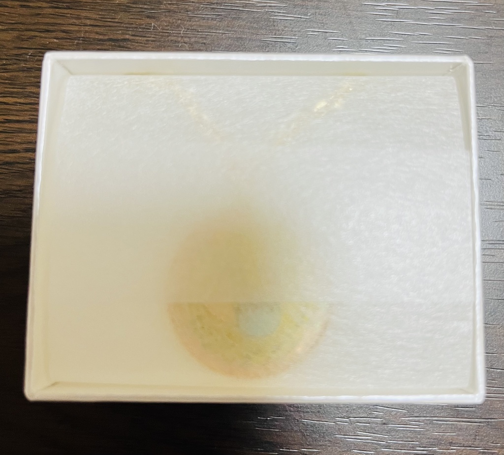 キラキラ金龍のゴールドネックレス