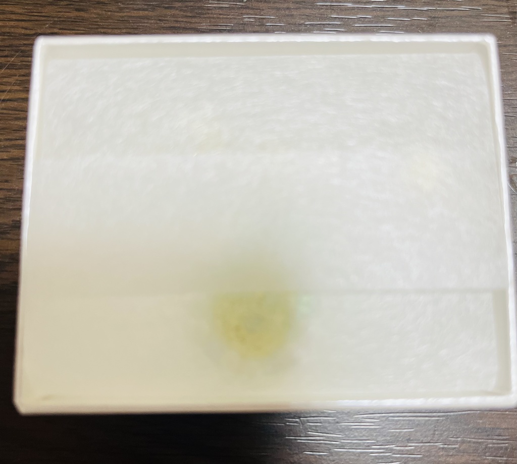 キラキラ金龍のブレスレット