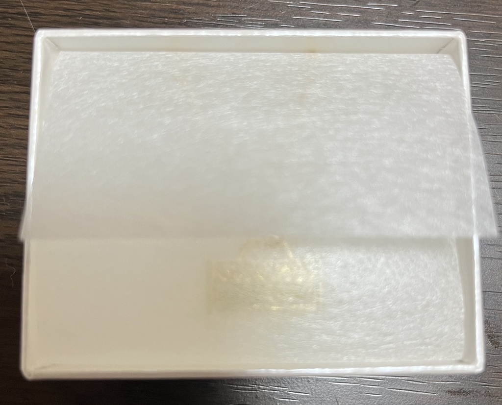 キラキラ金龍のネックレス