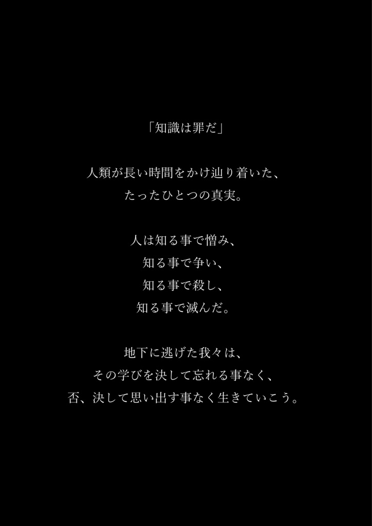 【ネタバレ有】「星空のマリス-荒廃のマリス」公式パンフレット