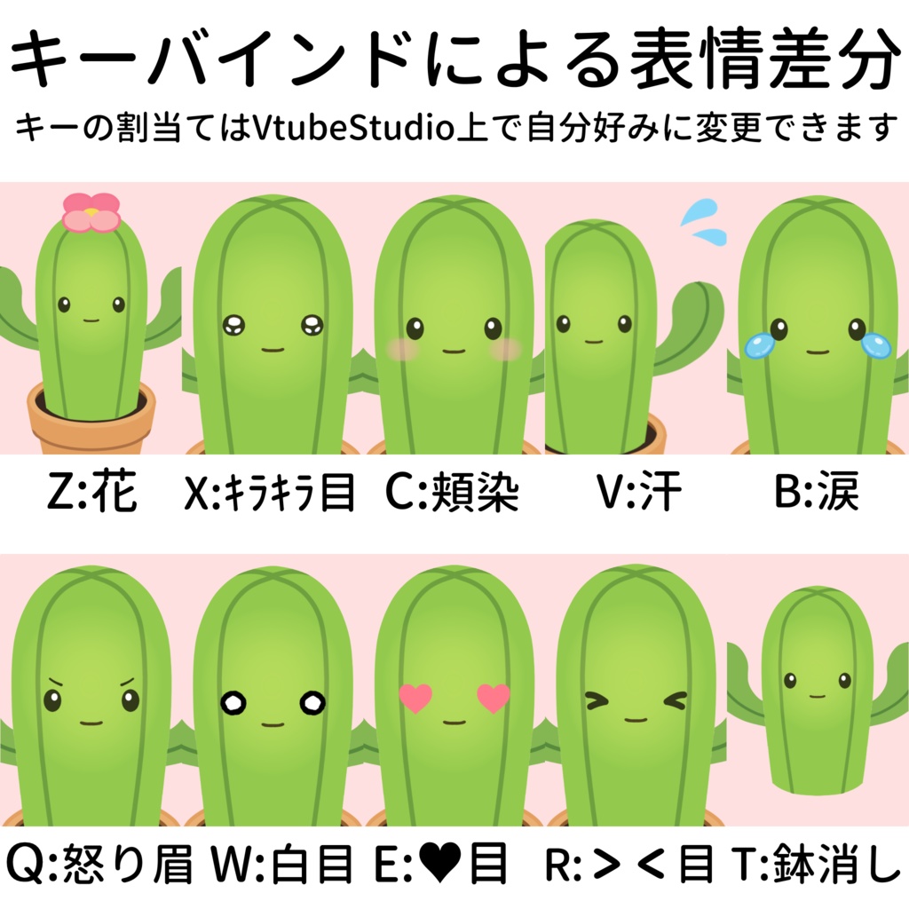 【Live2D】サボテン cactus【VtubeStudio対応】