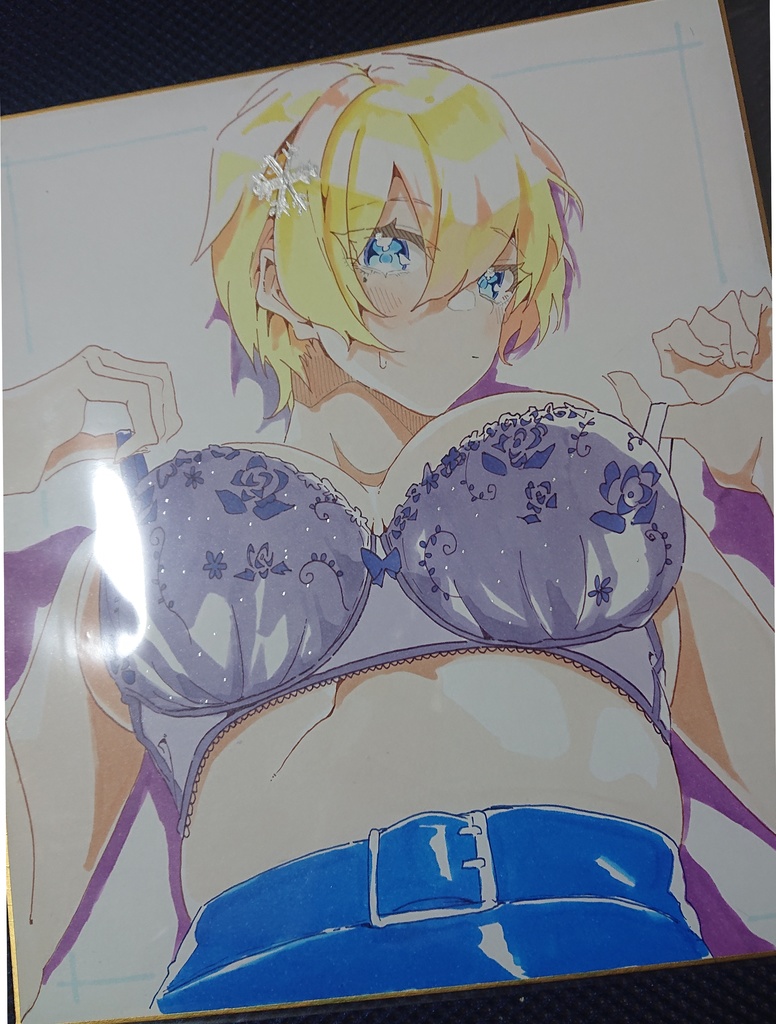 色紙(242×273)vol.21　VSKブラ