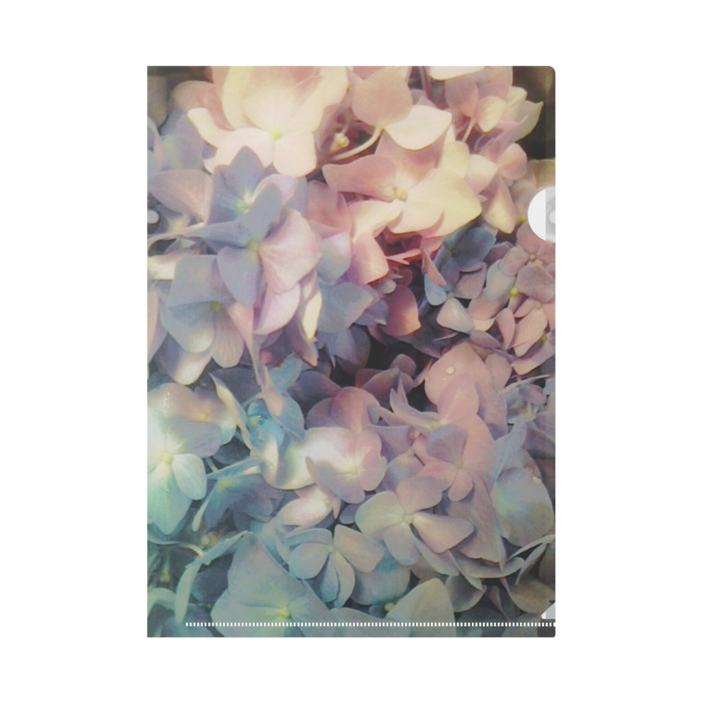 紫陽花クリアファイル