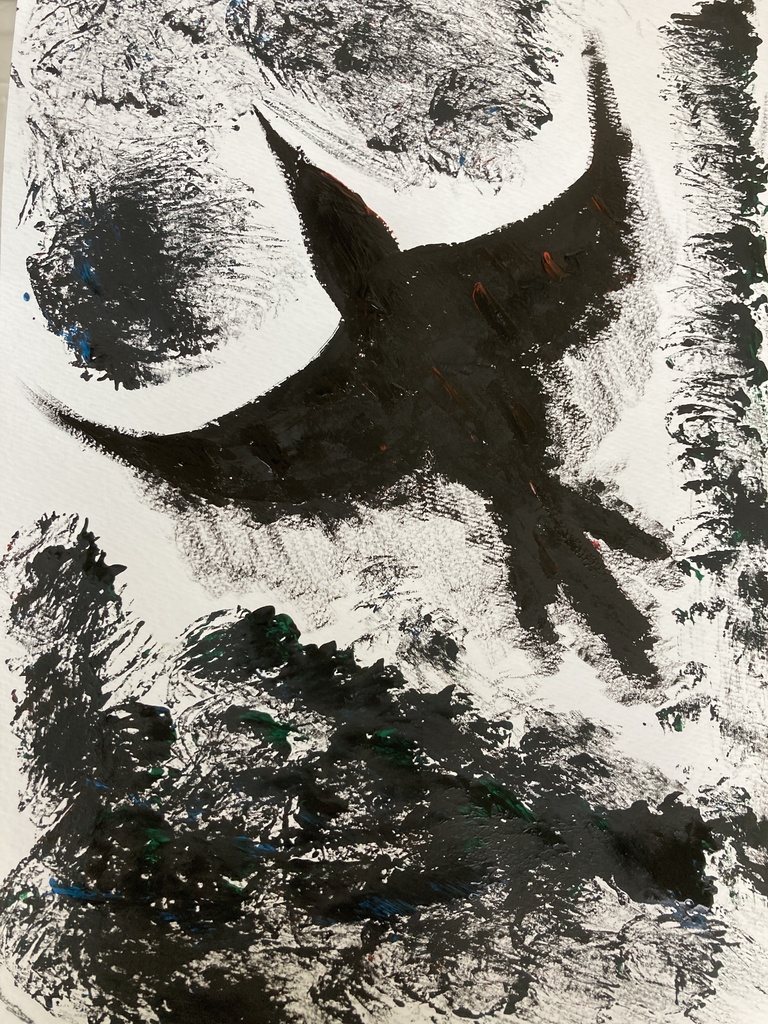 世界の鳥