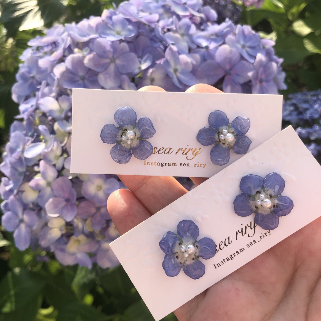 no.6 再販 ネモフィラのピアス フラワーピアス 1粒ピアス ドライフラワー ブルー レジンピアス ハンドメイドピアス