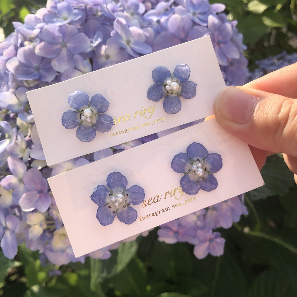 no.6 再販 ネモフィラのピアス フラワーピアス 1粒ピアス ドライフラワー ブルー レジンピアス ハンドメイドピアス