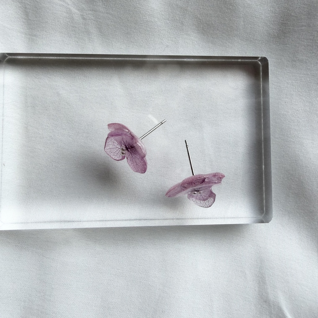 no.378 再販 ちいさなお花のピアス 本物のお花 アナベル 紫陽花 ピンク サージカルステンレス ピアス