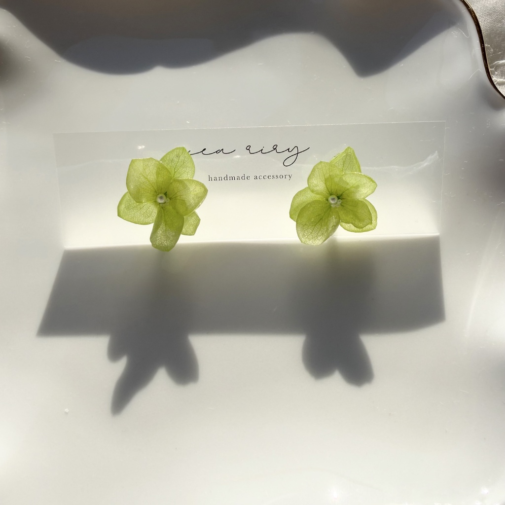 no.413  ライトグリーンの紫陽花ピアス  本物のお花  紫陽花  あじさい  パール   サージカルステンレス   ピアス