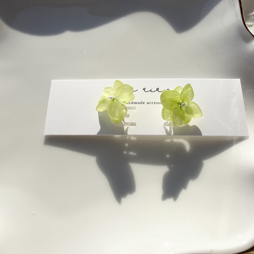 no.414  ライトグリーンの紫陽花のイヤリング  本物のお花  あじさい  紫陽花  樹脂ノンホールピアス  イヤリング
