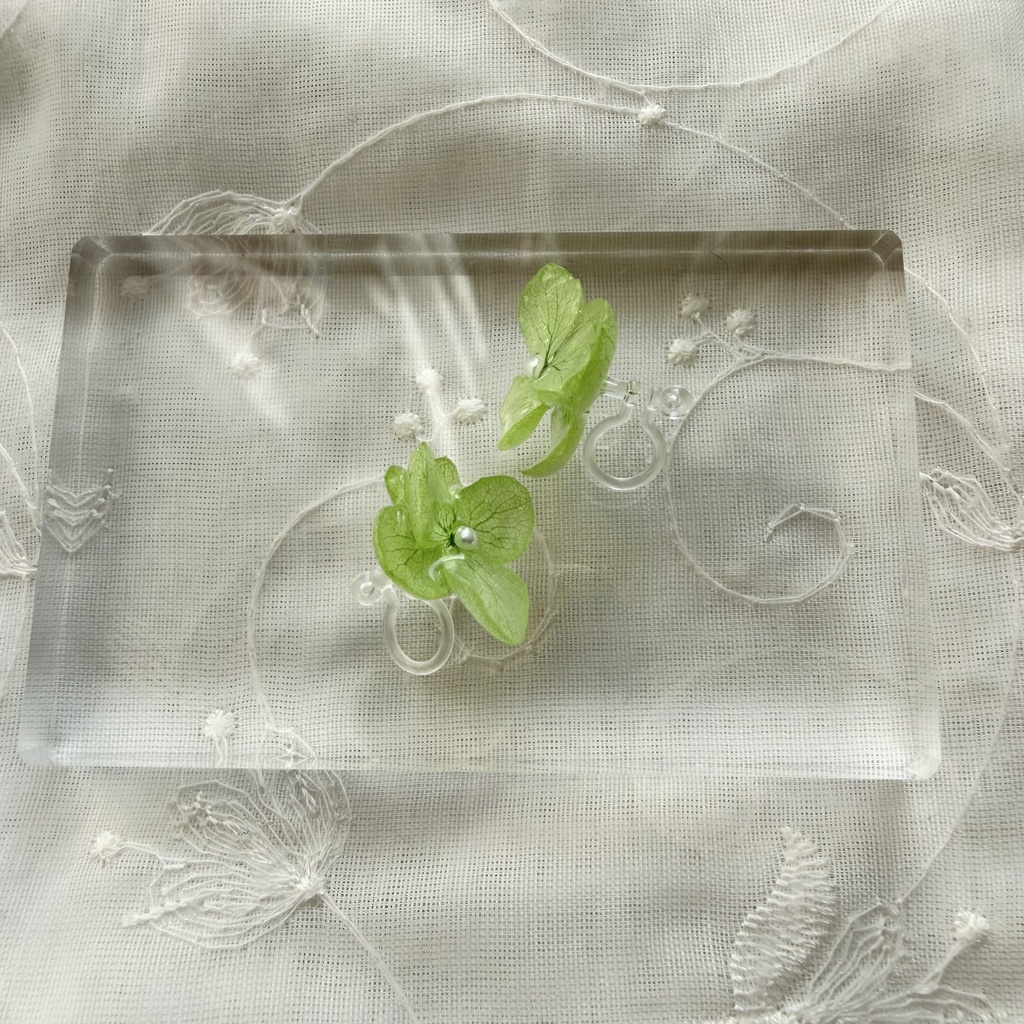 no.416 ライトグリーンの紫陽花のイヤリング 本物のお花 あじさい 紫陽花 樹脂ノンホールピアス イヤリング
