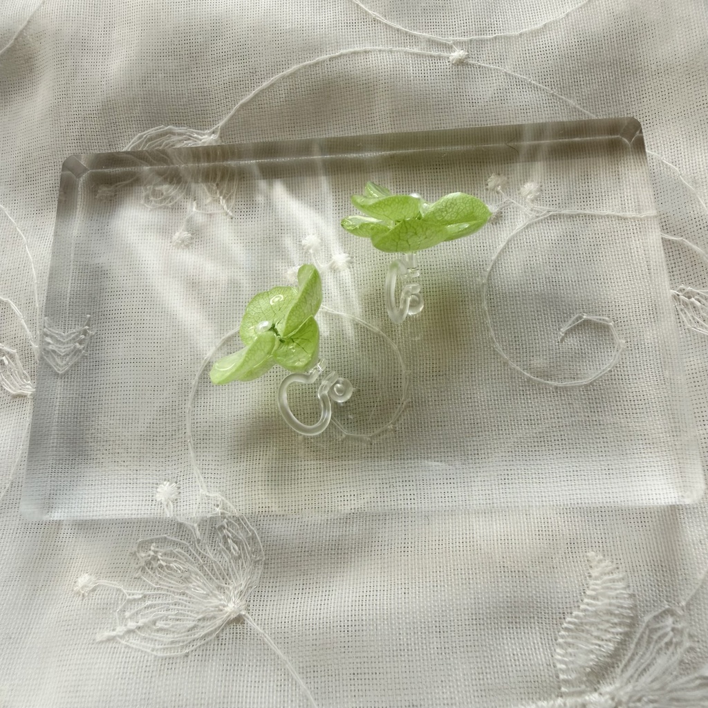 no.416 ライトグリーンの紫陽花のイヤリング 本物のお花 あじさい 紫陽花 樹脂ノンホールピアス イヤリング