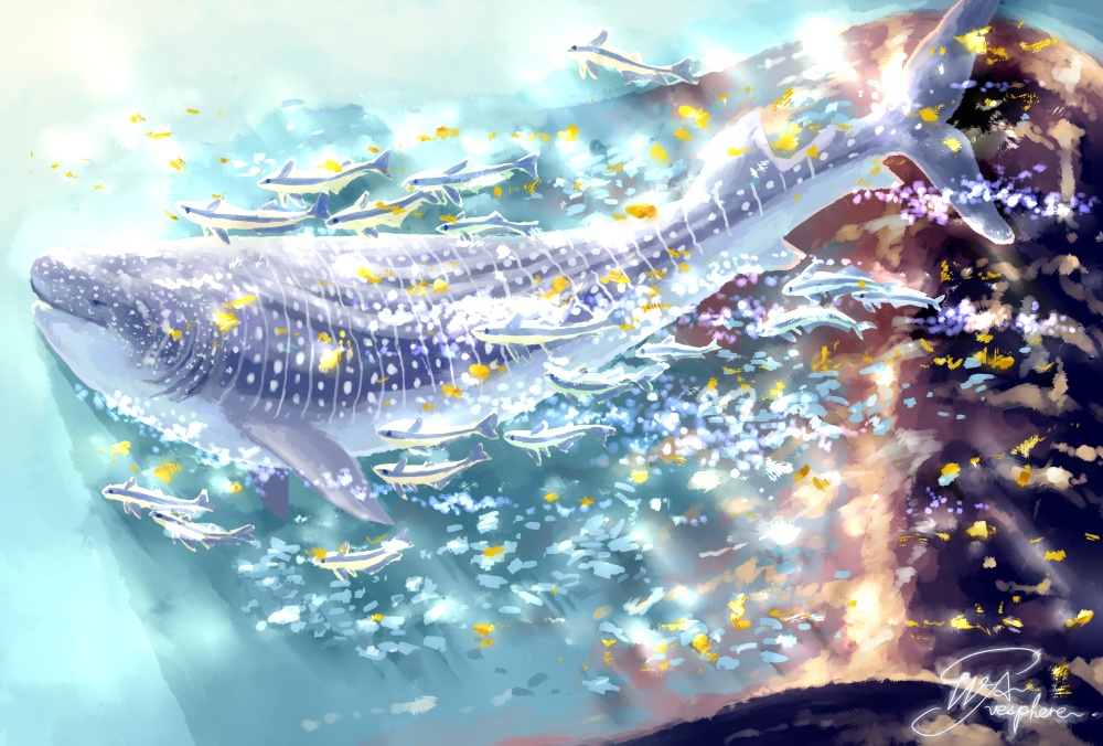 ジンベエザメ～常夜の波間から