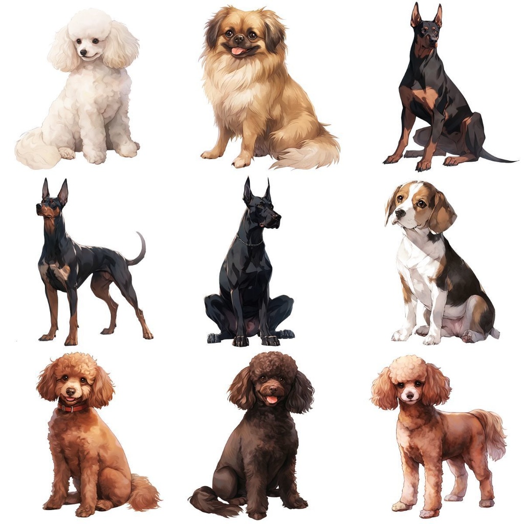 【第2弾】犬素材