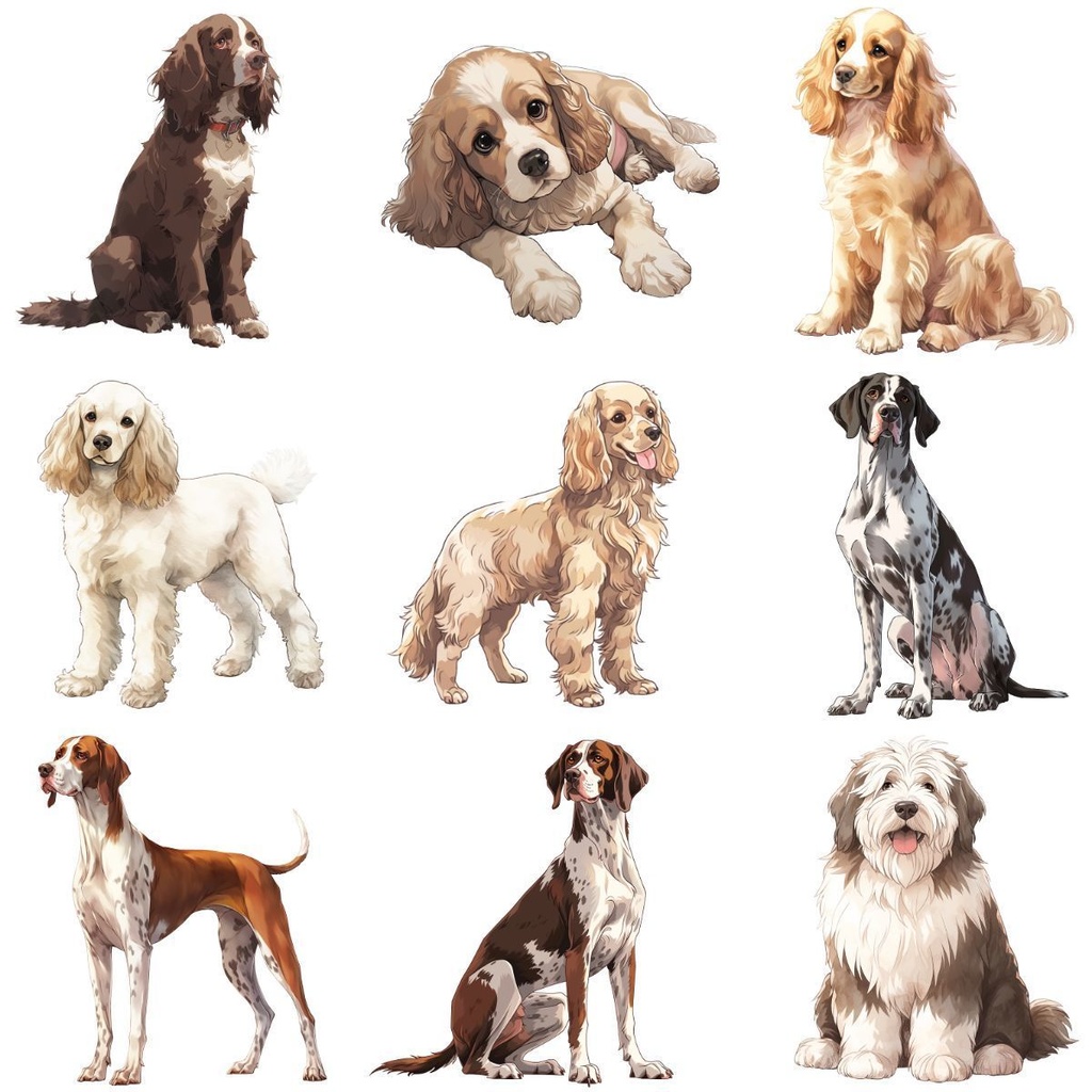 【第2弾】犬素材