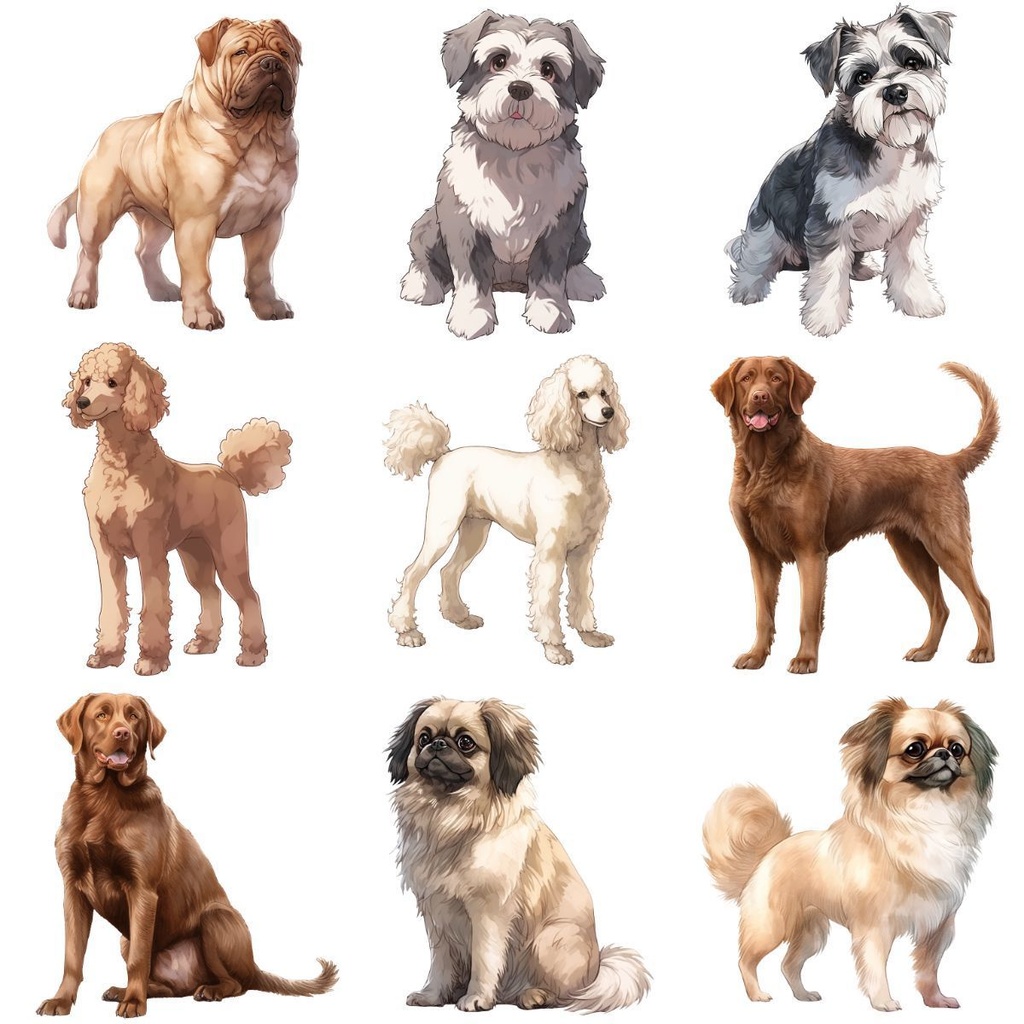 【第2弾】犬素材