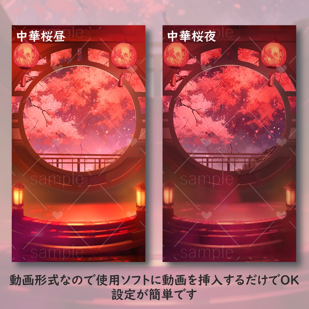 【動く】桜散る中華の部屋