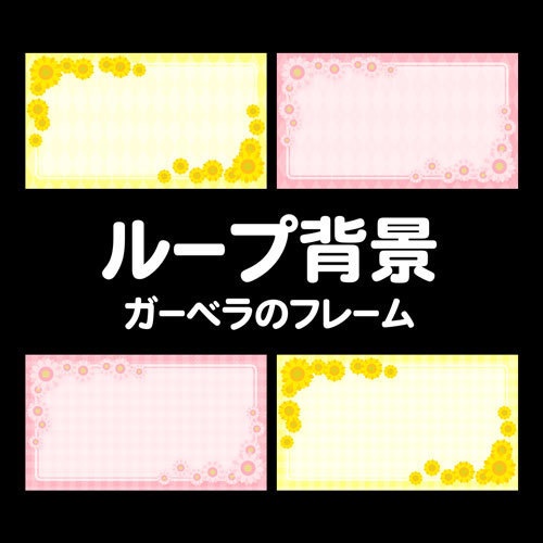 ガーベラのループ動画素材セット【ピンク/ブルー】