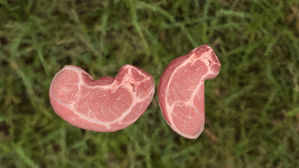 【3日間無料】肉/PORK【VRCアバター】