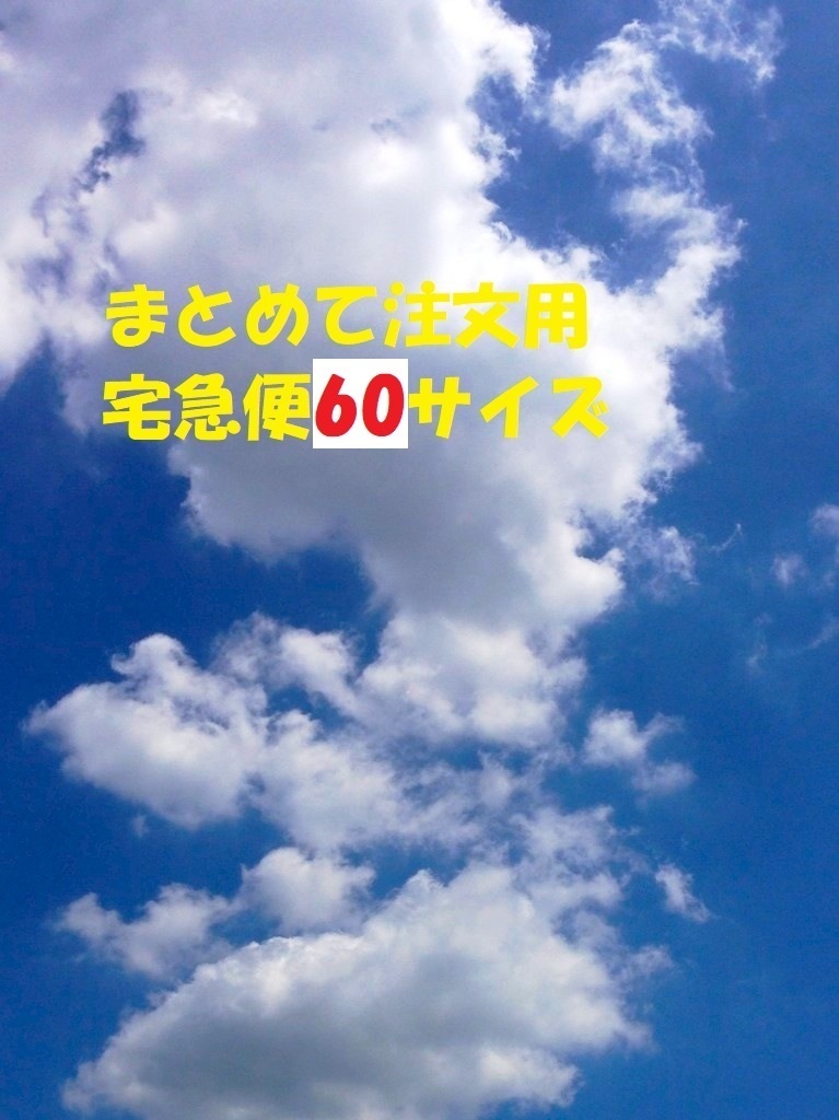 まとめて注文用宅急便60サイズ