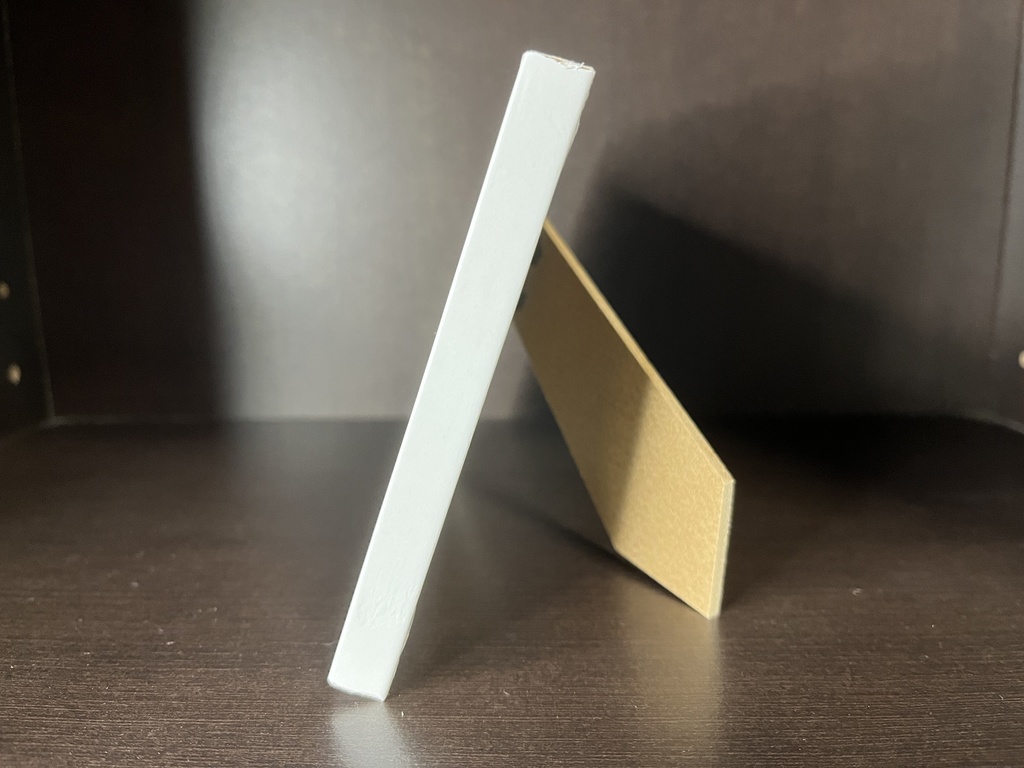 ニャンプク 「読書」