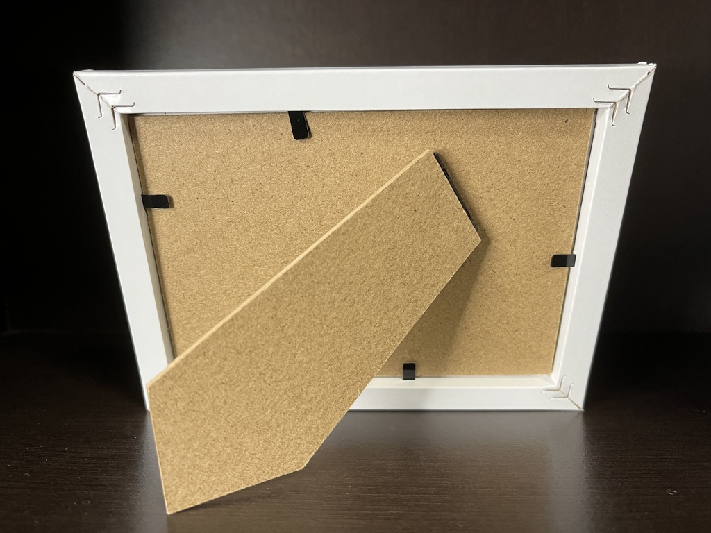 ニャンプク 「読書」