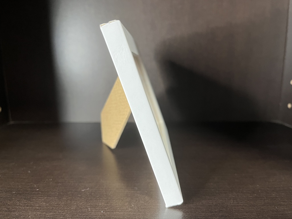 ニャンプク 「読書」