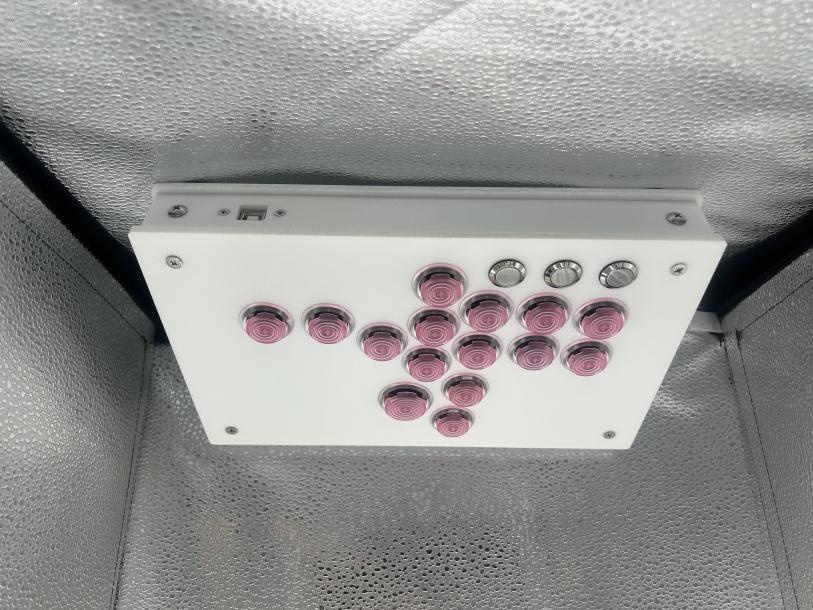 KD-04 UFB+UP5 マッドホワイト