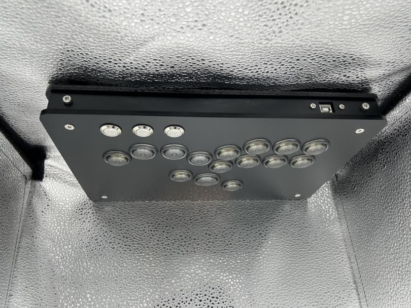 (オーダー品)KD-09 UFB Fusion +3ボタンカスタム マットブラック