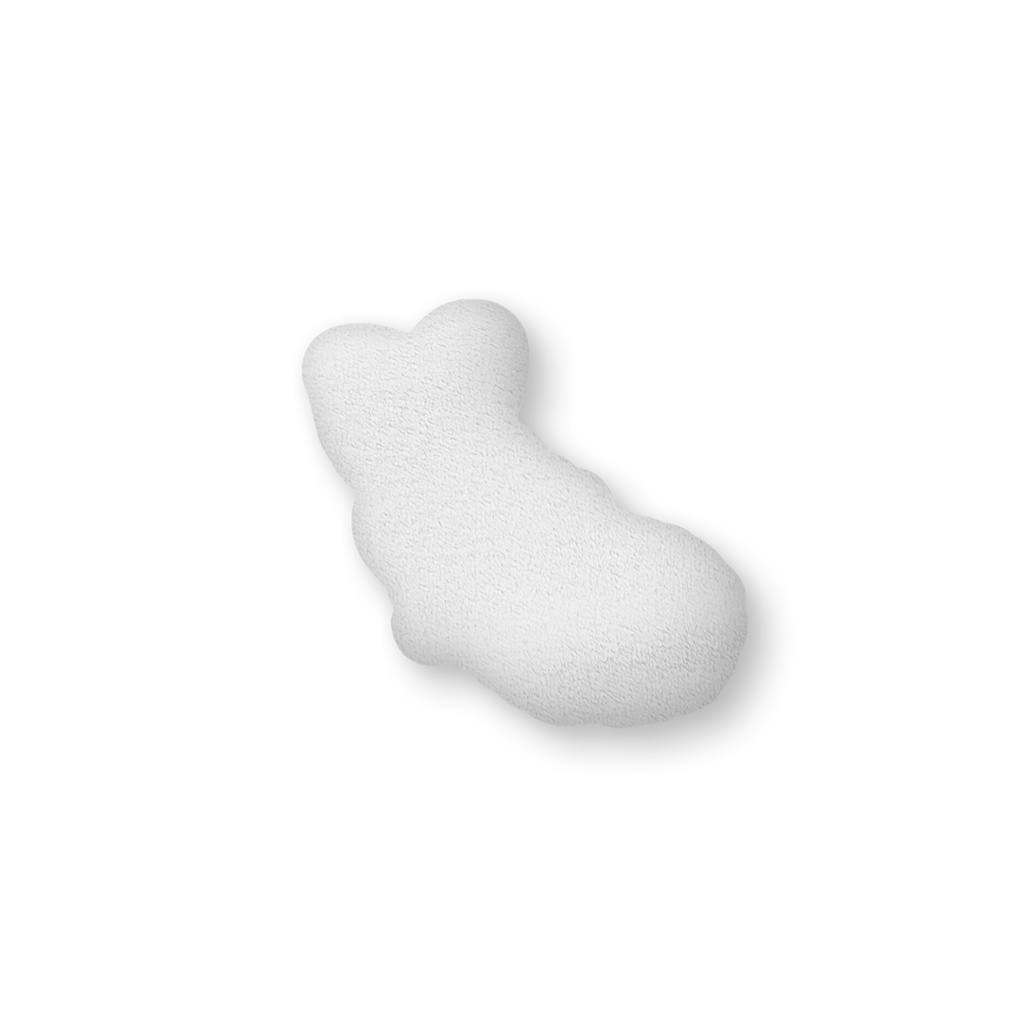 えびくなのクッション