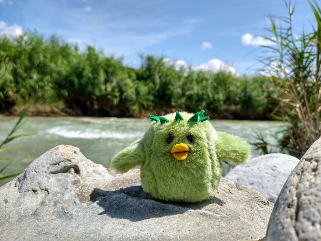 カッパちゃん(受注制作)