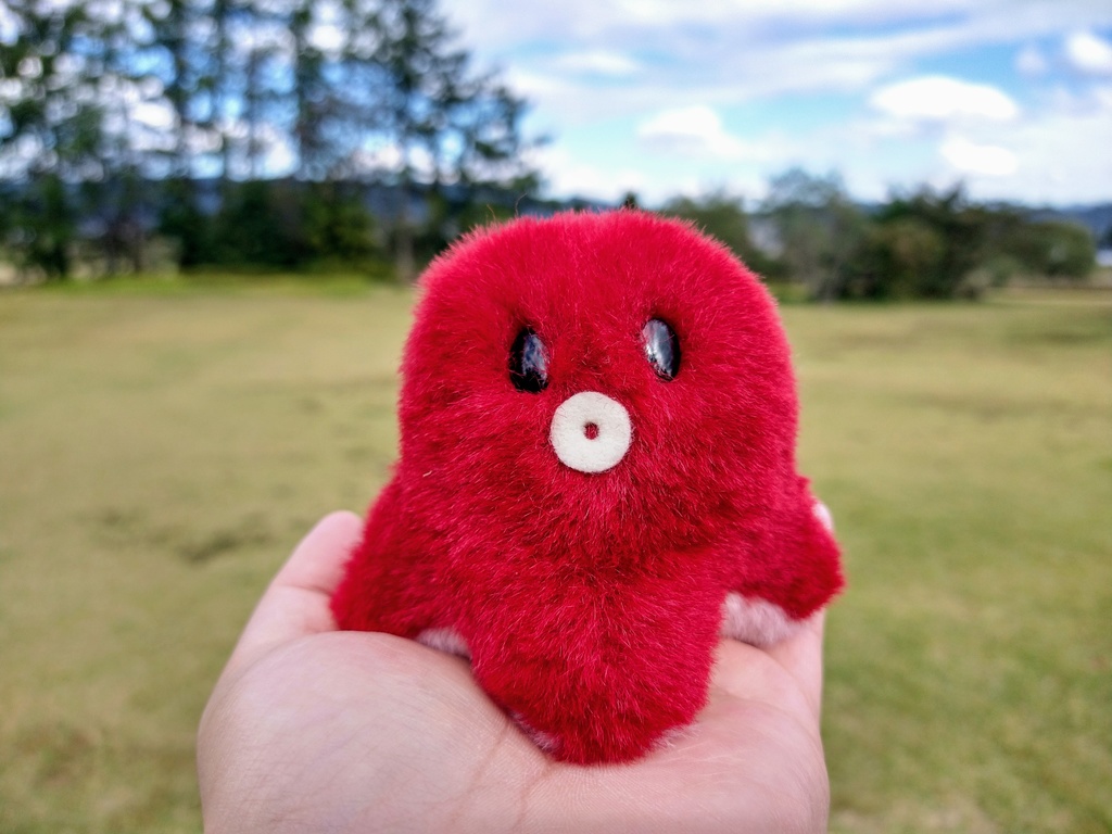 タコさんウインナー(受注制作)