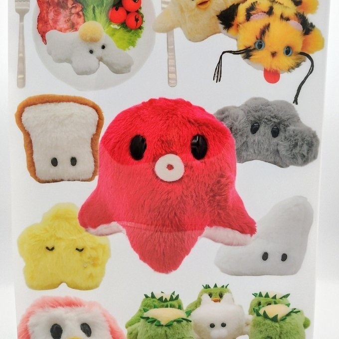 A4クリアファイル両面デザイン2種類