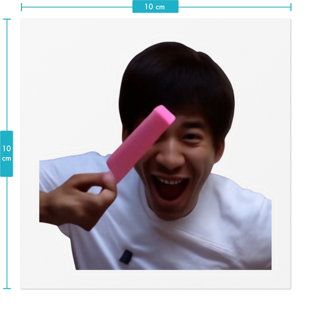 AI SHIBATA SUIKA NAGURI シール