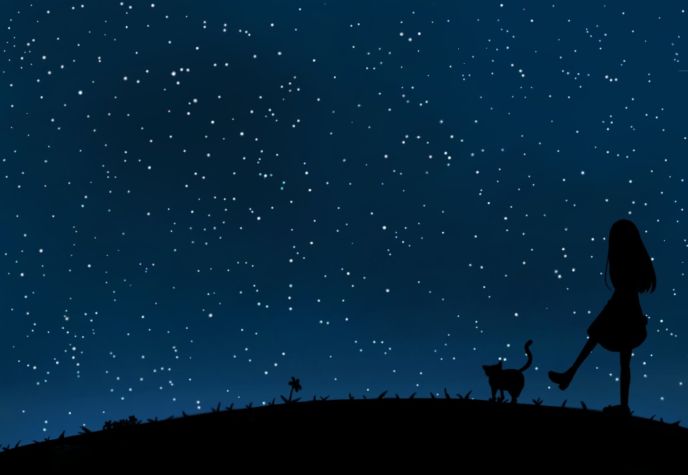 夜のお散歩手帳