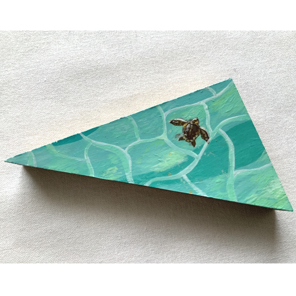 キセキのウミガメ (NO.3)