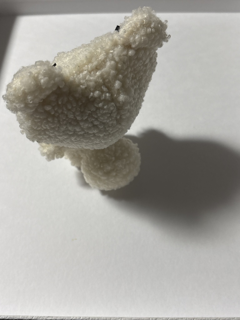 10cmぬい用】自立着ぐるみ